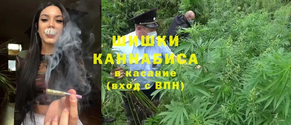 экстази Арсеньев