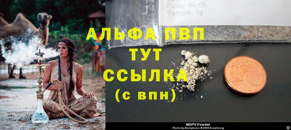 PSILOCYBIN Армянск
