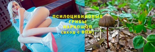 PSILOCYBIN Армянск