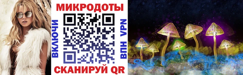 как найти закладки Сызрань Псилоцибиновые грибы MAGIC MUSHROOMS